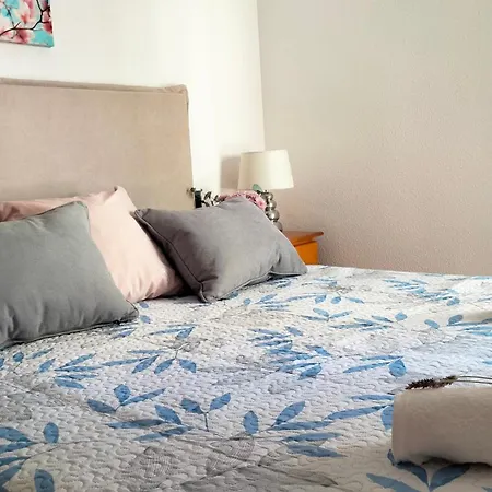 Roma - Solo Familias 간디아