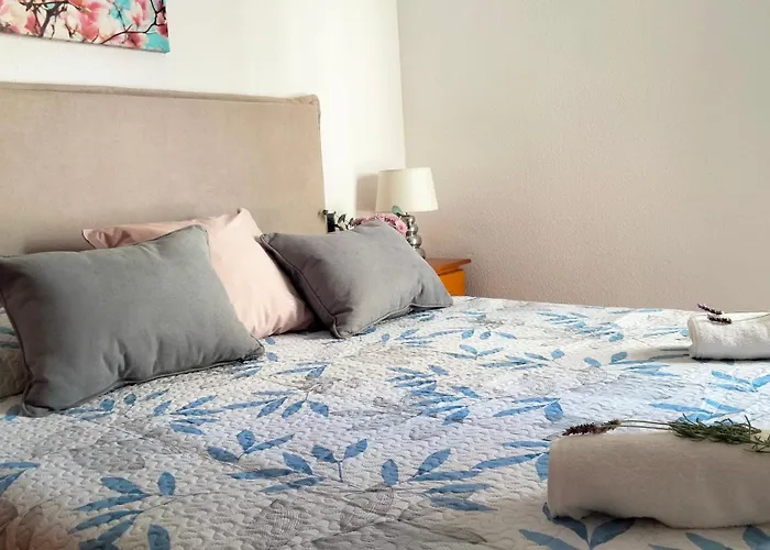 Roma - Solo Familias Gandia